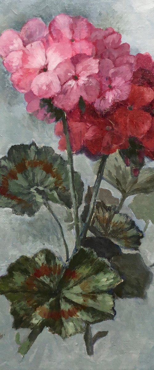 Pink & Red Geraniums by Caridad I. Barragan