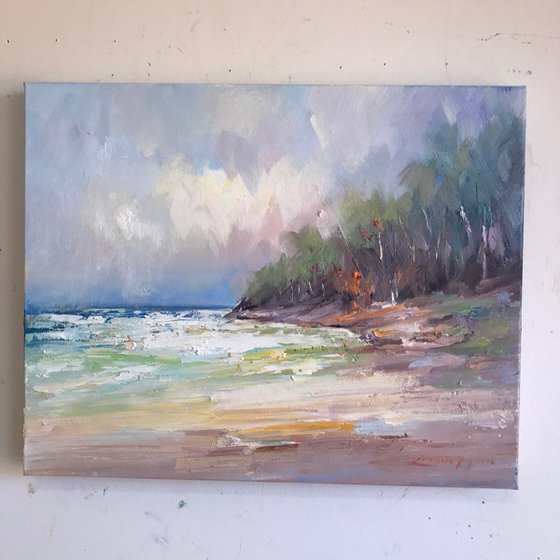 Noosa's Main beach No 9