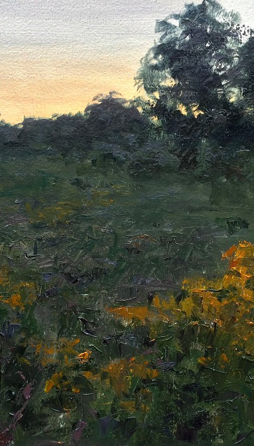 Meadow by Michael Rak