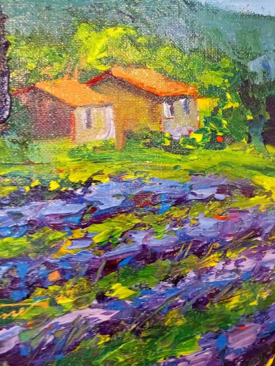 'LAVENDER FIELDS IN SAOU, DROME, FRANCE' - Acrylics Painting on Canvas