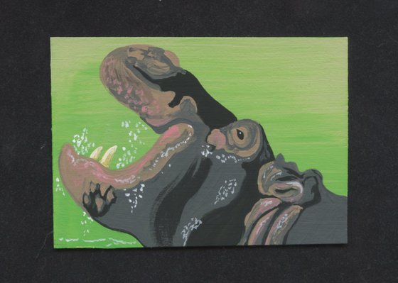 ACEO ATC Original Miniature Painting Hippopotamus Wildlife Art-Carla Smale