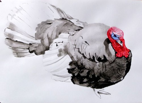 turkey by Soso Kumsiashvili