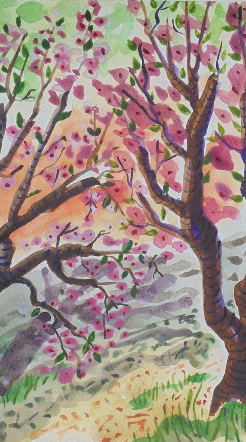 Two almond blossom trees. by Kirsty Wain