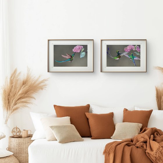 Colibri Flowers Diptych Pastel