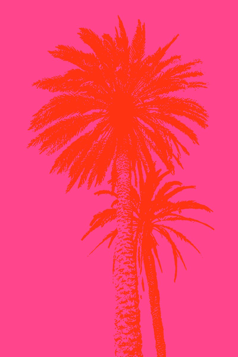Palm tree_1 by Kosta Morr