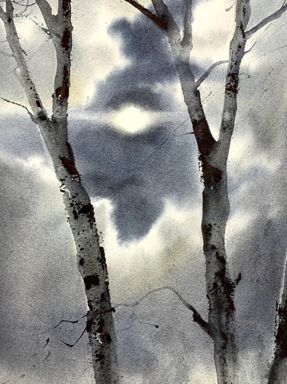 Birch trees in the moonlight