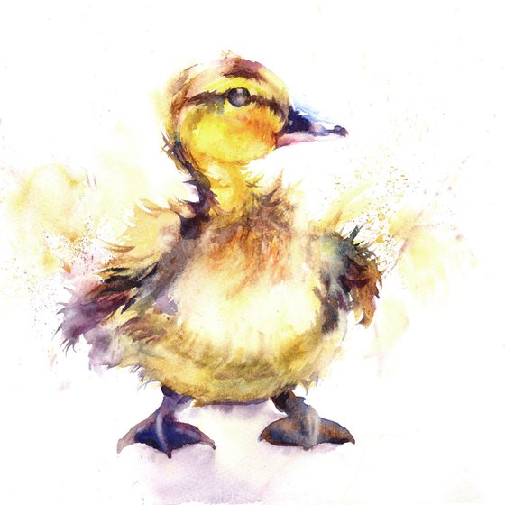 Duckling, an original watercolour painting