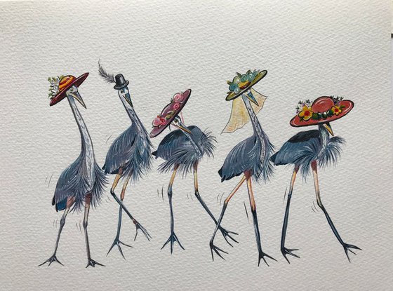 Herons in hats