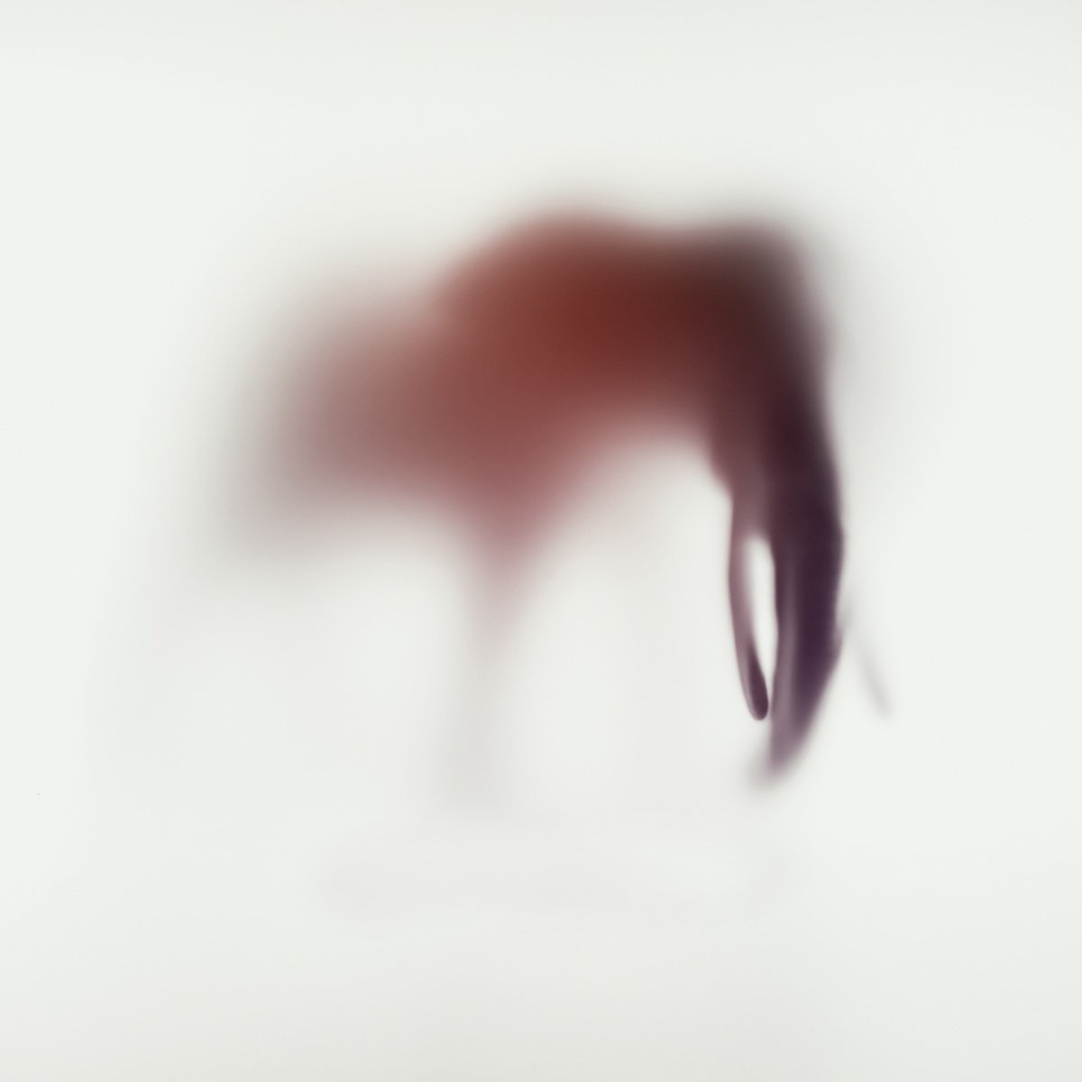 Abstract Animal Photograph By Sven Pfrommer, 39 X 39", Wild Lens - Elephant Xxiv, Original Artwork