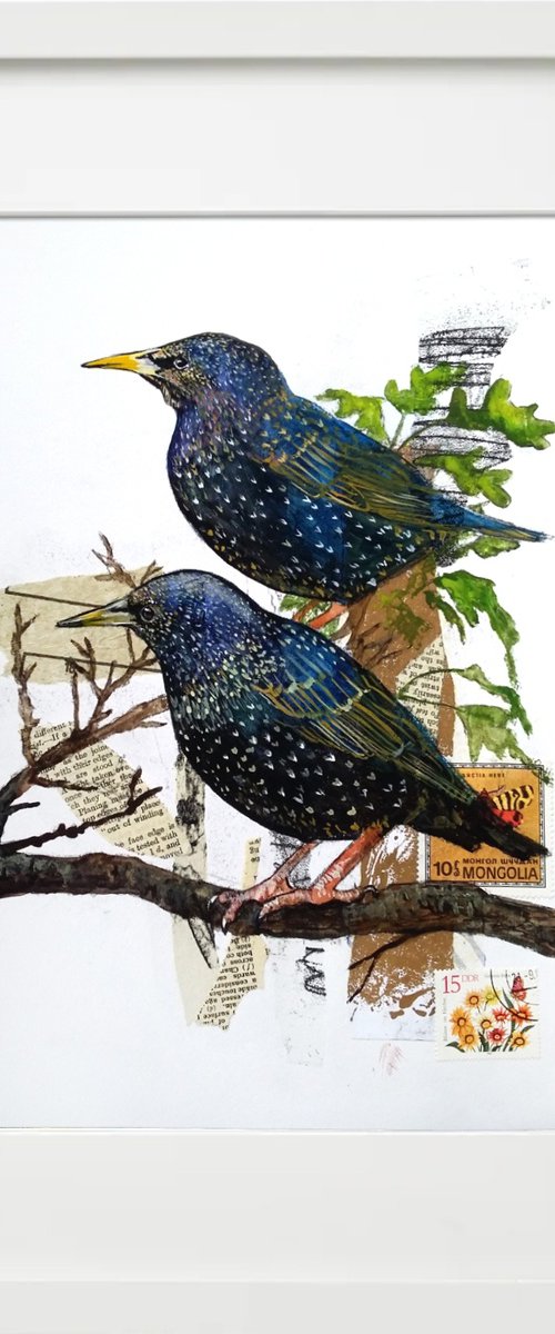 Starlings -  Framed ready to hang original artwork by Carolynne Coulson