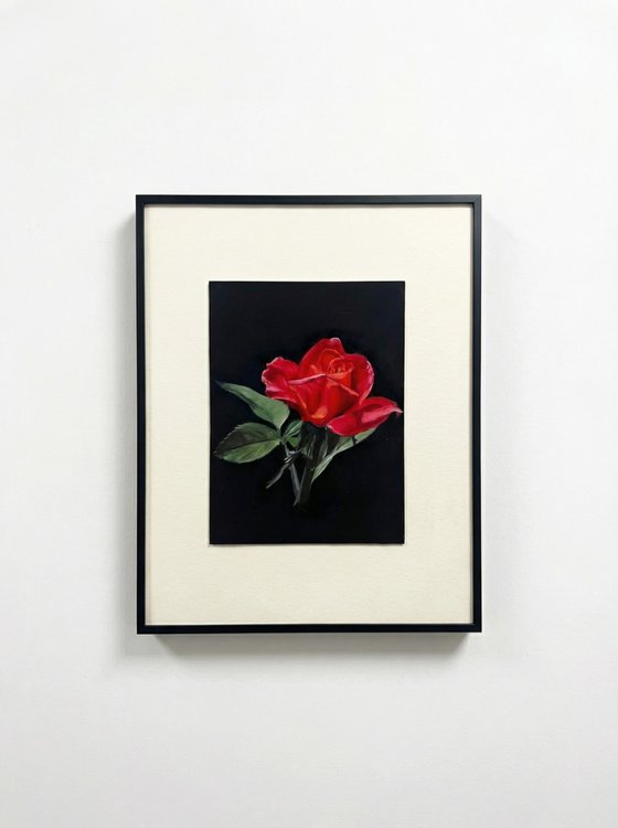 Crimson Study: Red Rose Oil on Gesso Board