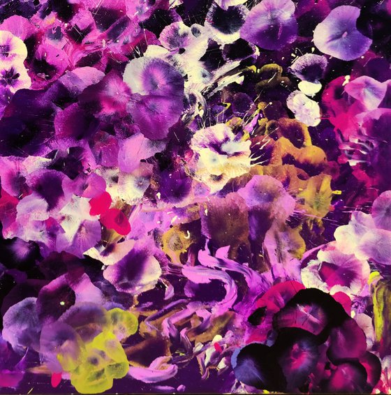 Violet Drift