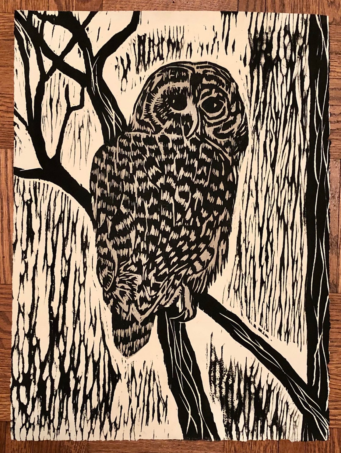 Silent Intuition, barred owl drawing, retailer Canvas print