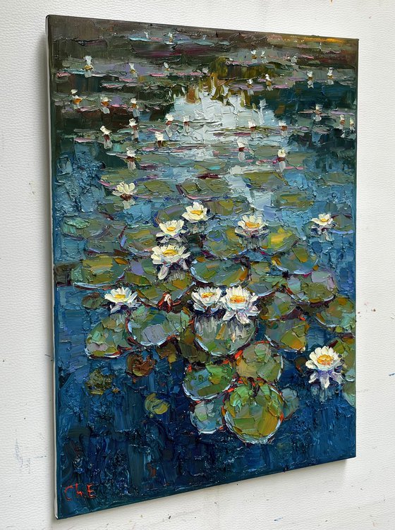"Water lilies flowers"
