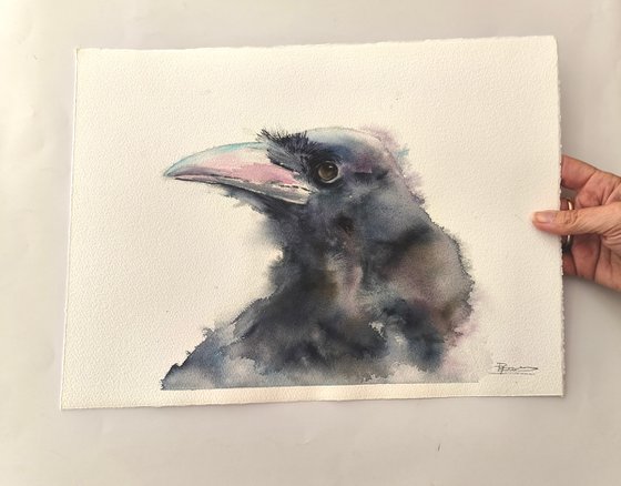 Crow