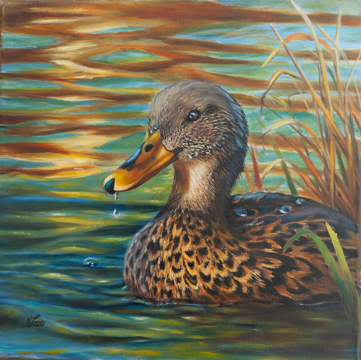 Photorealistic Animal Oil Painting By Norma Beatriz Zaro, 12 X 12", Duck 2, Original Artwork