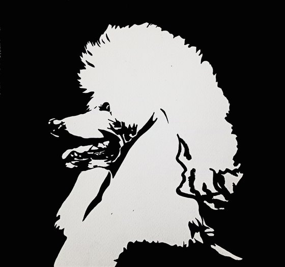 Standard Poodle II