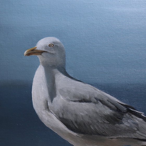 Lockdown Morning Chorus Series - By the Sea, Seagull Painting, Bird Art by Alex Jabore