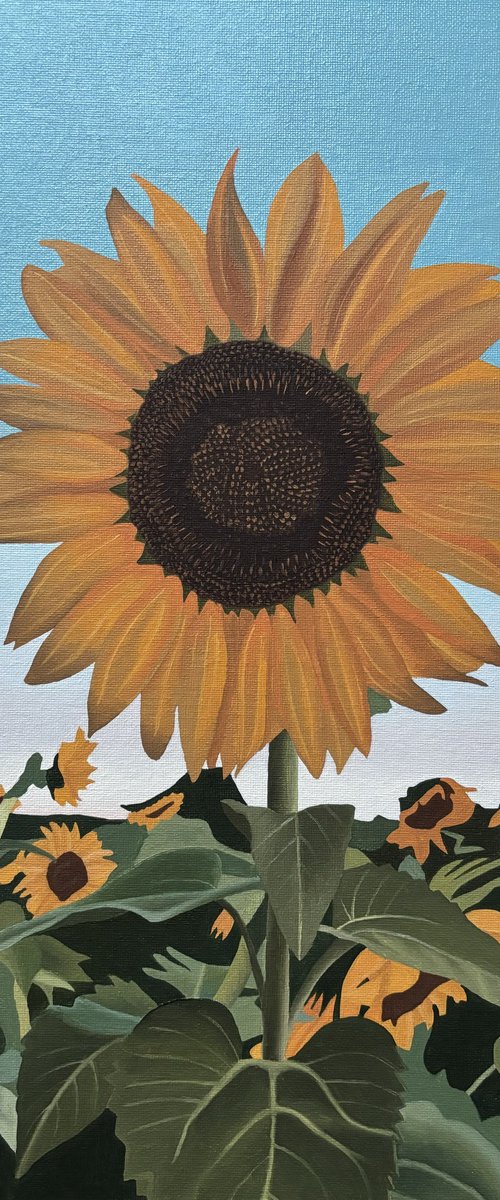 Sunflower by Jill Ann Harper