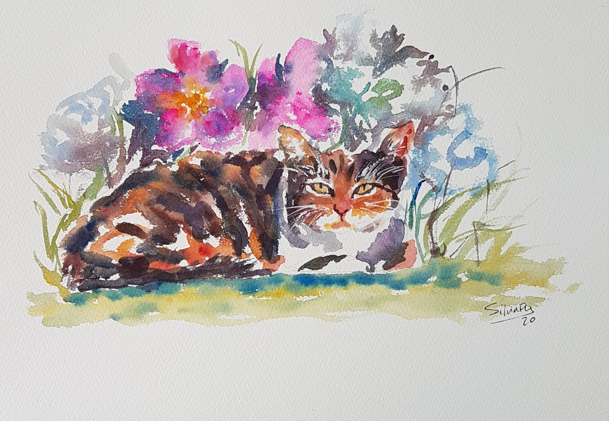 Cat and pink flowers. by Silvia Flores Vitiello