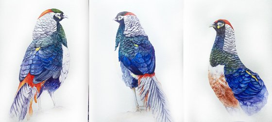 Set of three pheasant