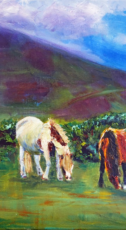 Wild Welsh Horses by Marion Derrett