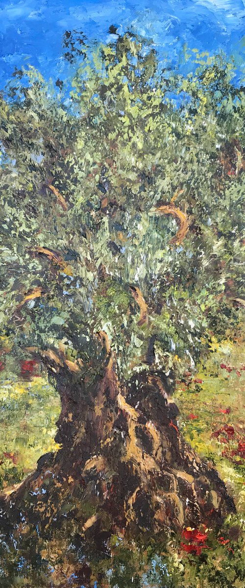 Olive Tree by Diana Malivani