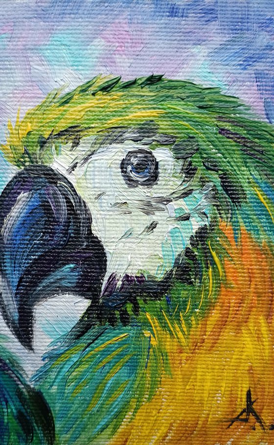 Love story - bird, parrots, painting on canvas, gift, parrots art, art bird, animals oil painting