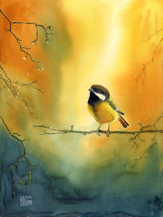Great tit in march sunset