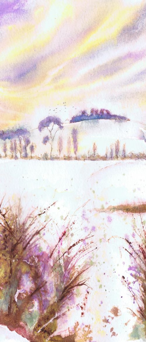 Winter Sun, Wittenham Clumps by Michele Wallington