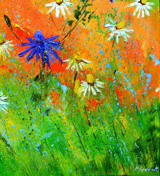Wild flowers - 7723