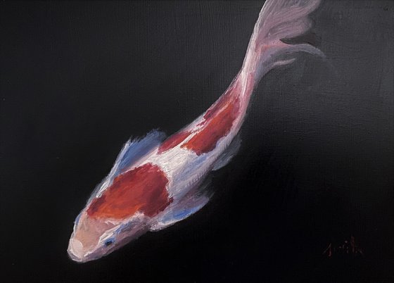 Koi Fish