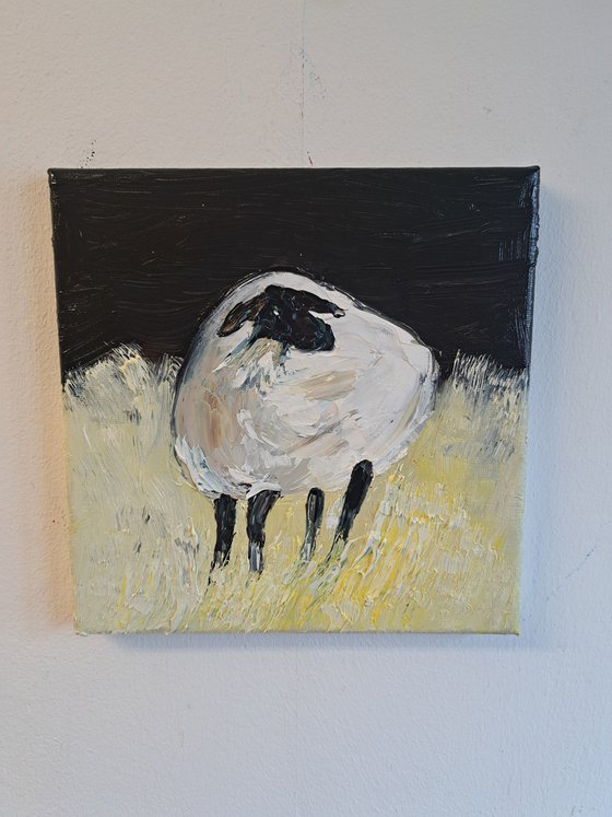 Sheep portrait