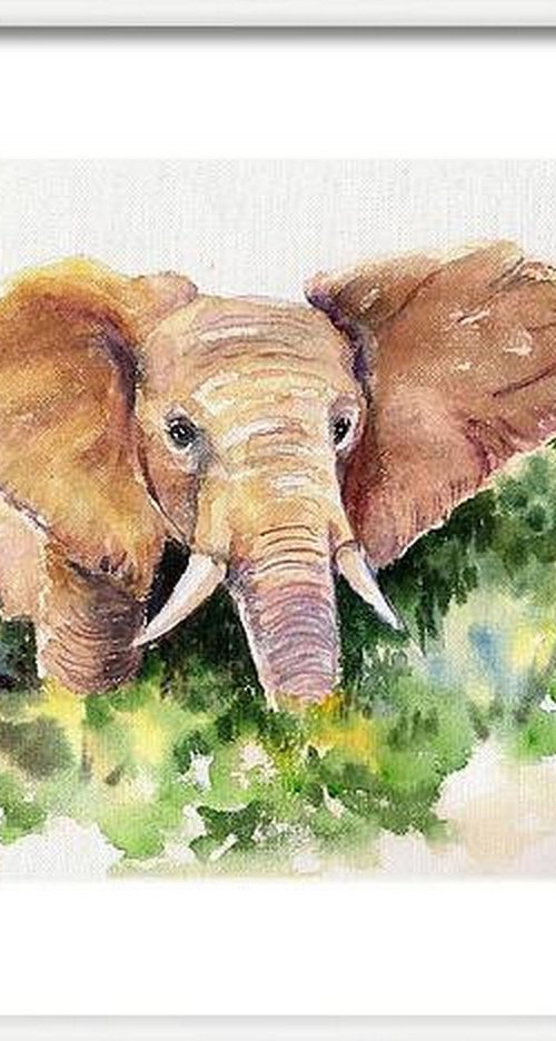The King Elephant by Asha Shenoy