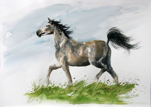 Horse VII  / Original Painting by Salana Art Gallery