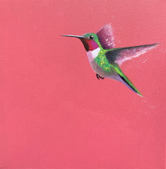 Anna's Hummingbird