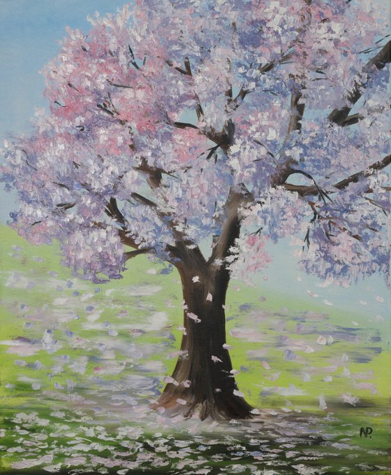 Sakura is blooming