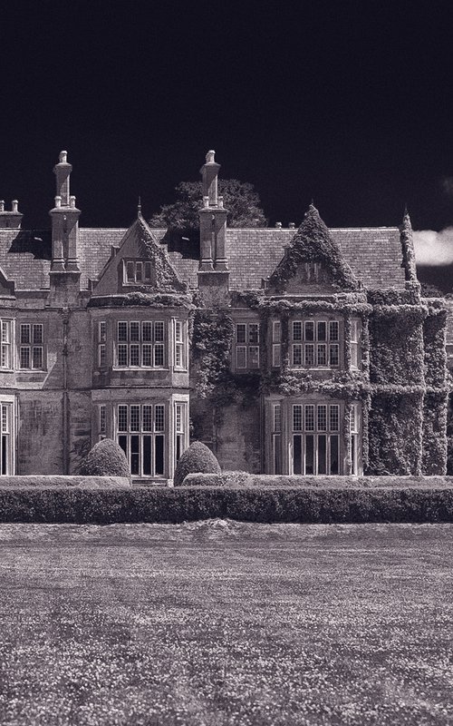 Muckross house by Peter Zelei