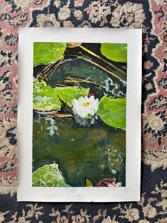Waterlilies