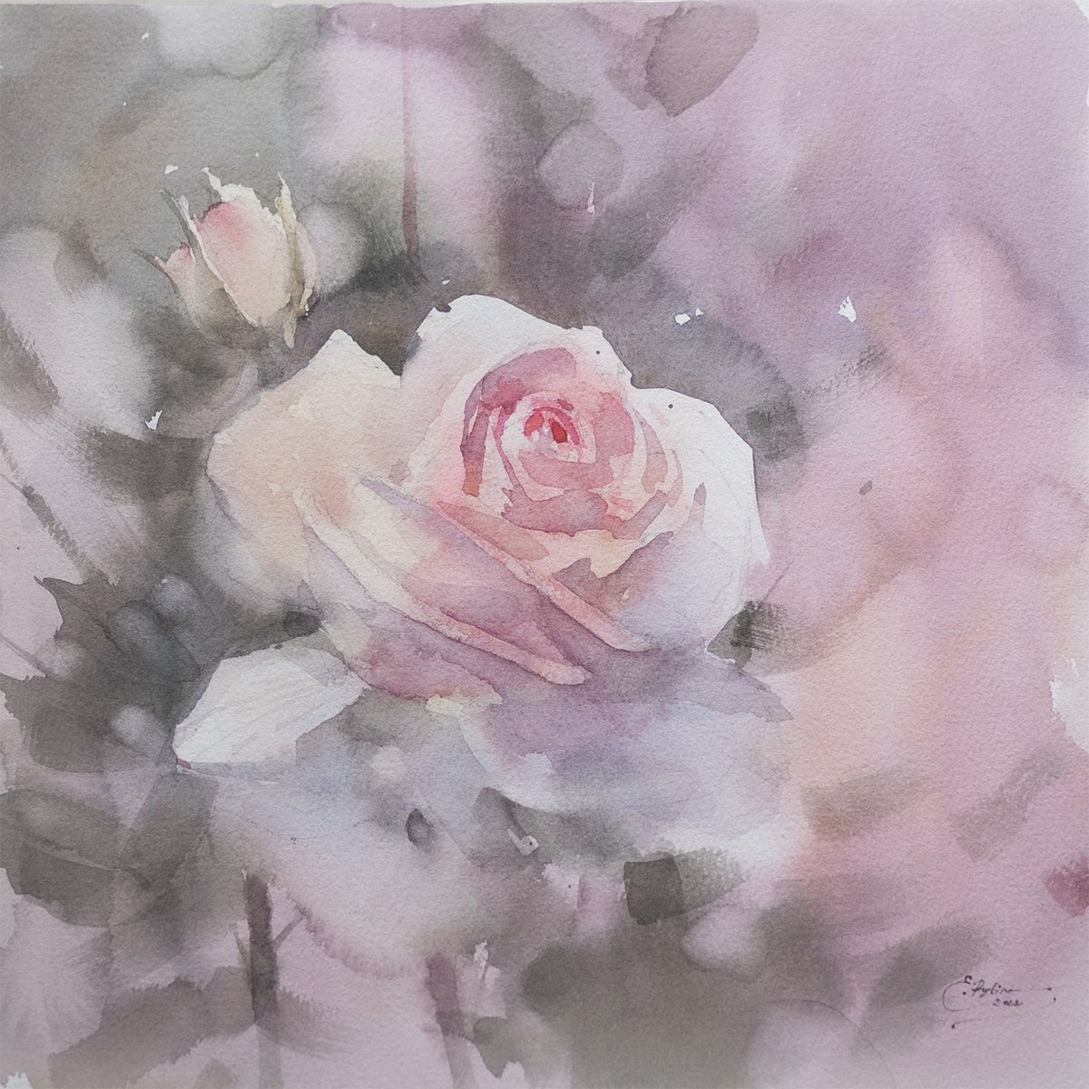 Pink rose by Ekaterina Pytina