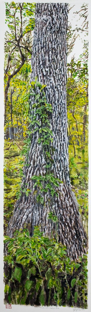 Expressive Oil Painting , Oak Tree With Invasive Vine By Michael E. Voss, 15 X 47, Artwork For Sale On Artfinder