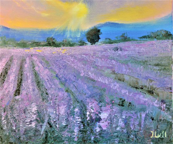 Lavender evening