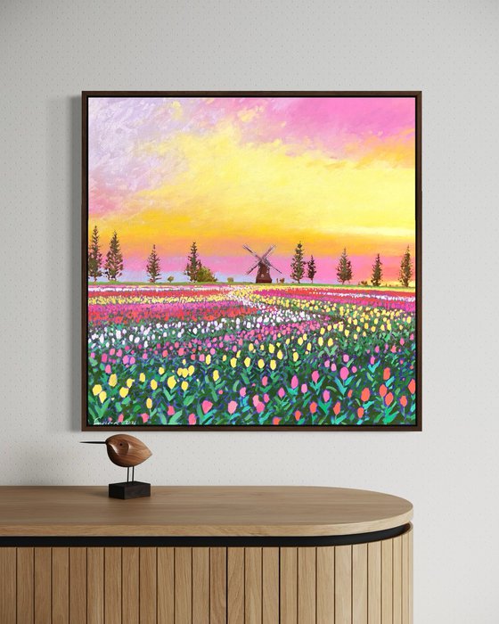 Sunset over tulips field