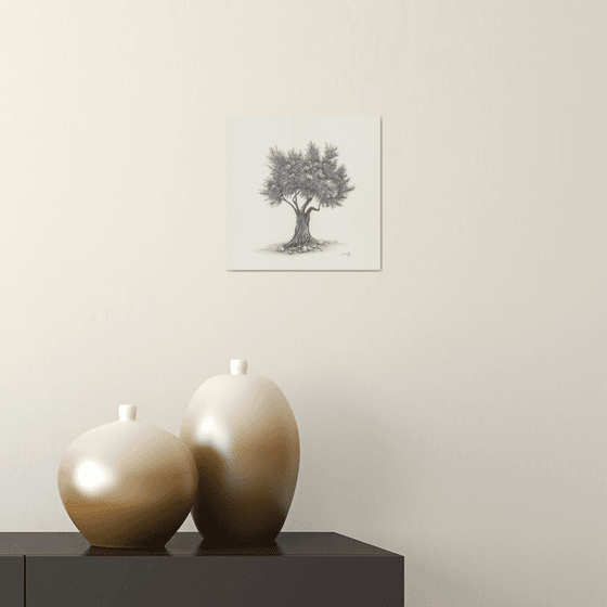 Olive tree II