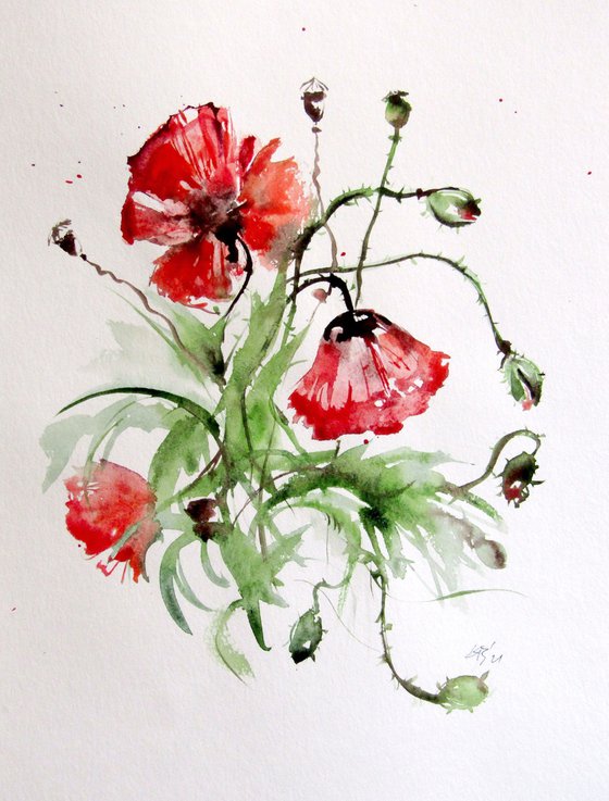 Summer poppies