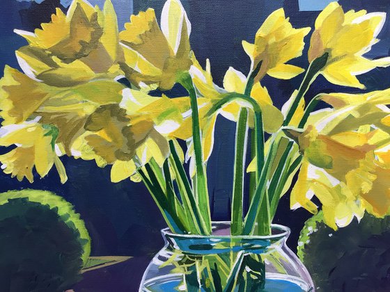 Sunlight And Daffodils