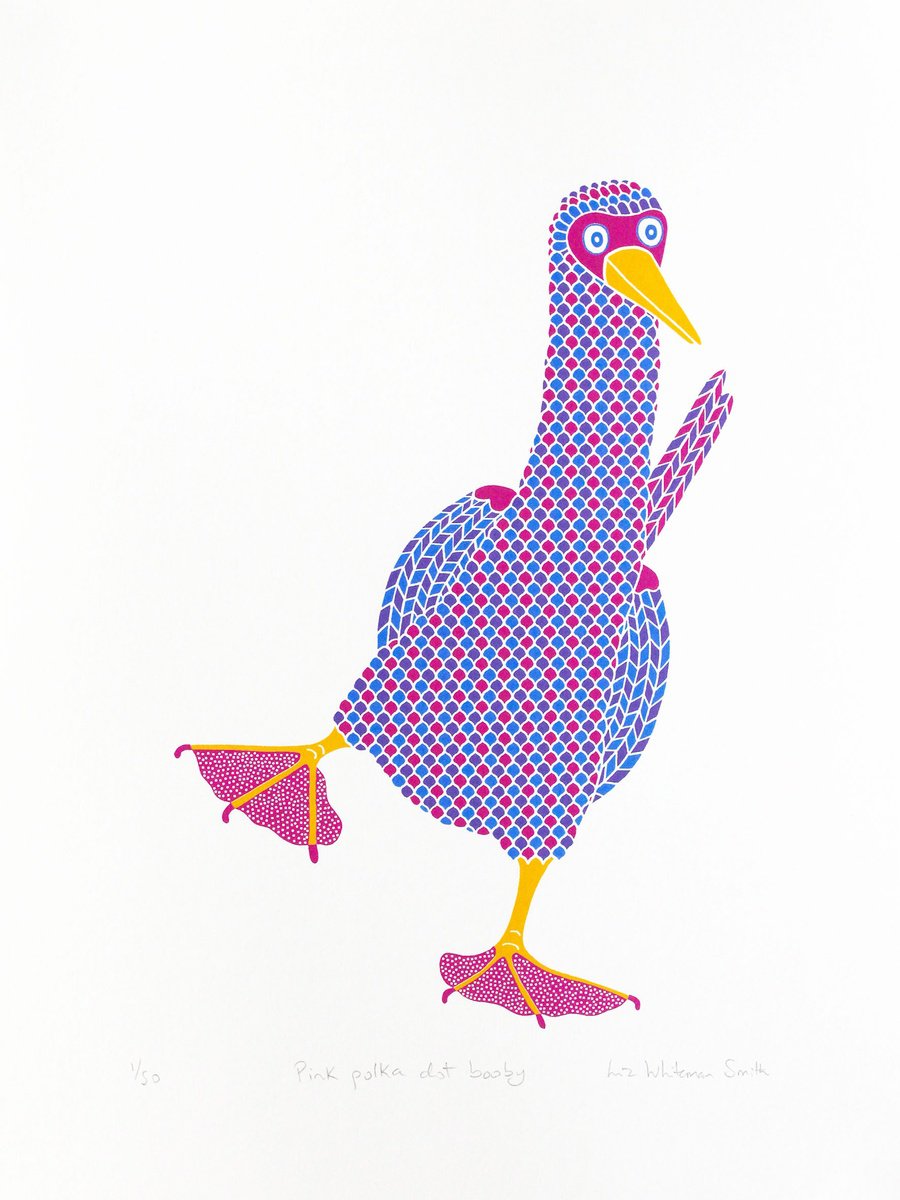 Pink polka booby by Liz Whiteman Smith