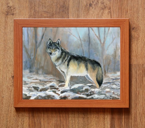 Winter wolf in snowy forest scene