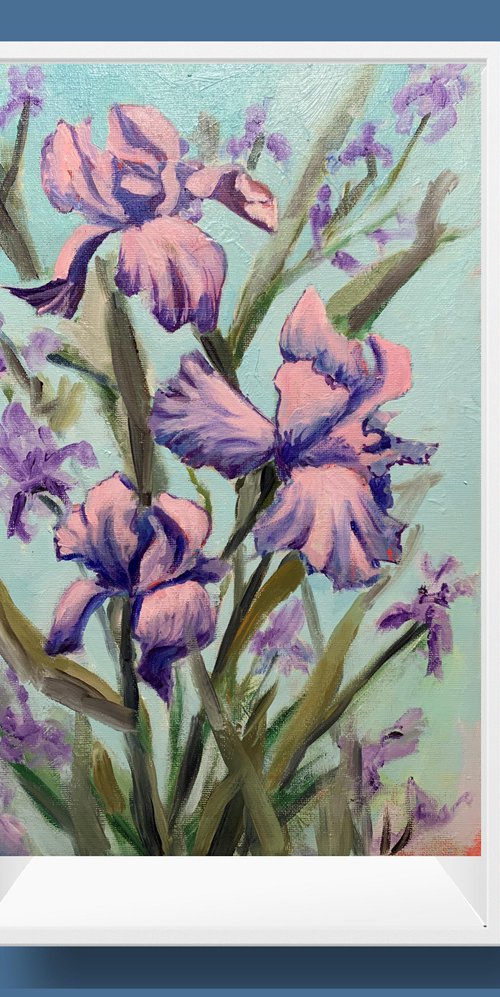 Irises. by Vita Schagen