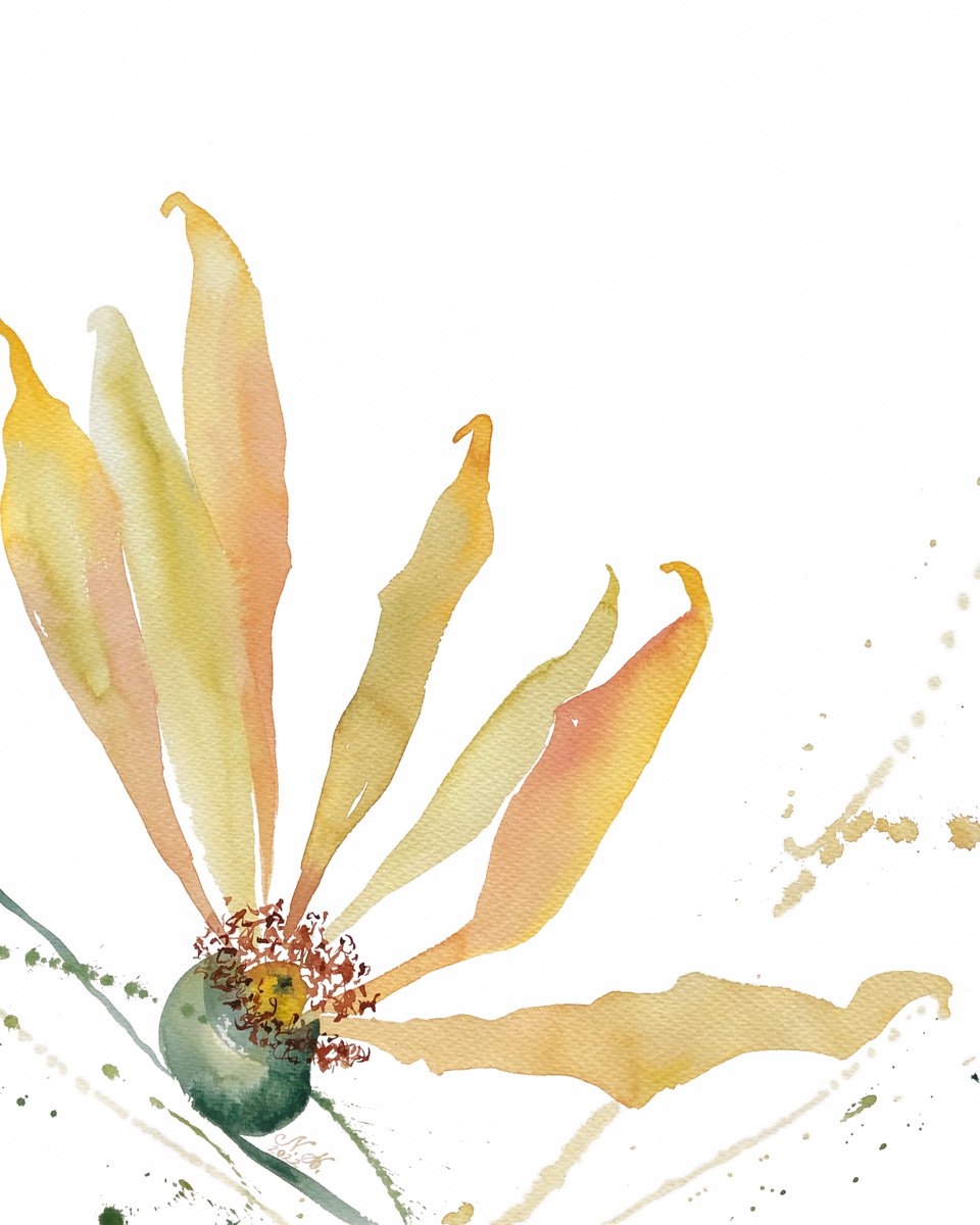 Expressive Watercolour , Bright. Floral Shades. By Nataliia Kupchyk, 17 X 22, Artwork For Sale On Artfinder